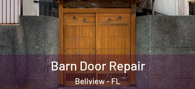  Barn Door Repair Bellview - FL