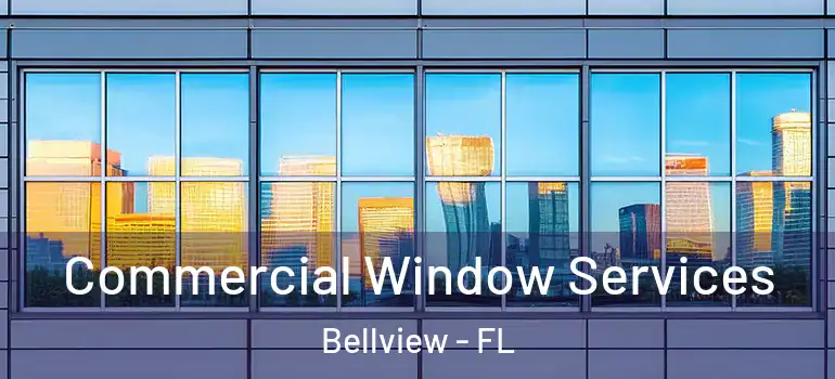  Commercial Window Services Bellview - FL