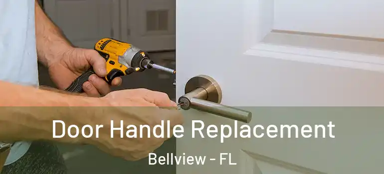  Door Handle Replacement Bellview - FL