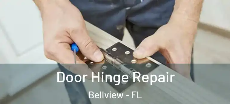 Door Hinge Repair Bellview - FL