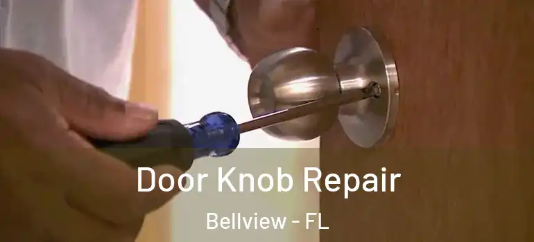  Door Knob Repair Bellview - FL