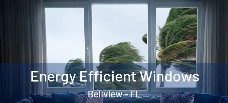  Energy Efficient Windows Bellview - FL