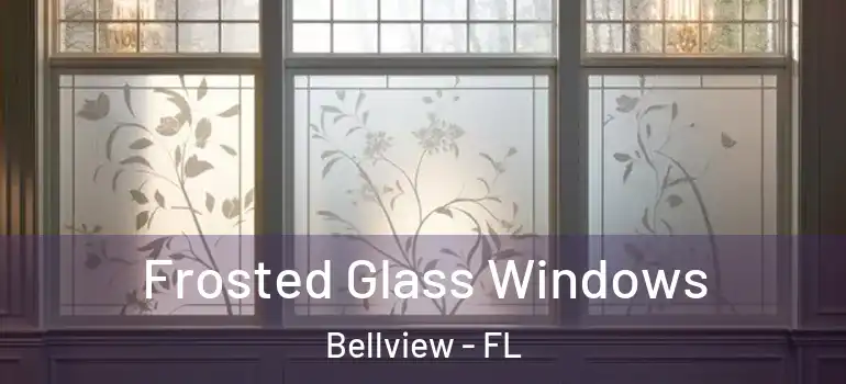  Frosted Glass Windows Bellview - FL
