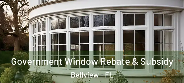  Government Window Rebate & Subsidy Bellview - FL