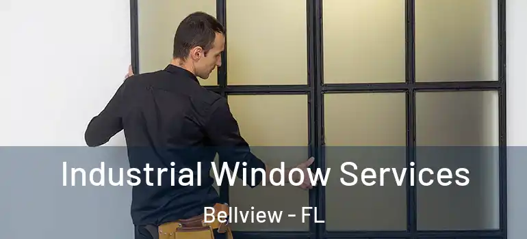  Industrial Window Services Bellview - FL