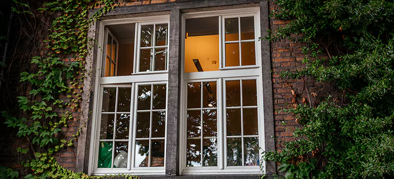 Energy Efficient Wood Windows in Bellview, FL
