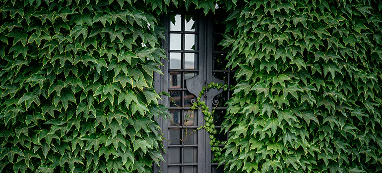 Garden Gate Repair in Bellview, FL