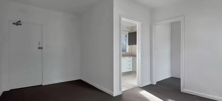 Dark Interior Doors in Bellview, FL