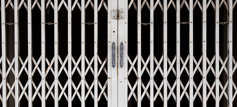 Steel Line Garage Door Repairs in Bellview, FL