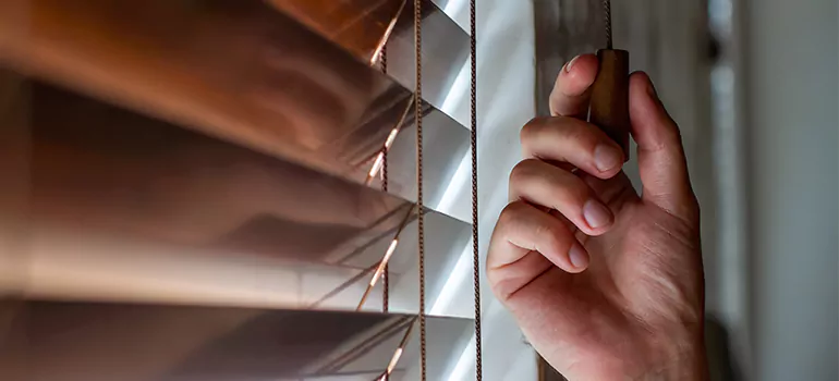 Double Roller Blinds in Bellview, FL
