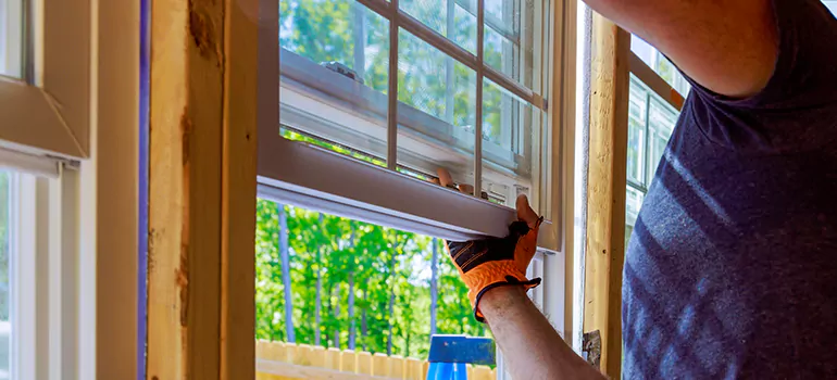 Decorative Window Film Services in Bellview, FL