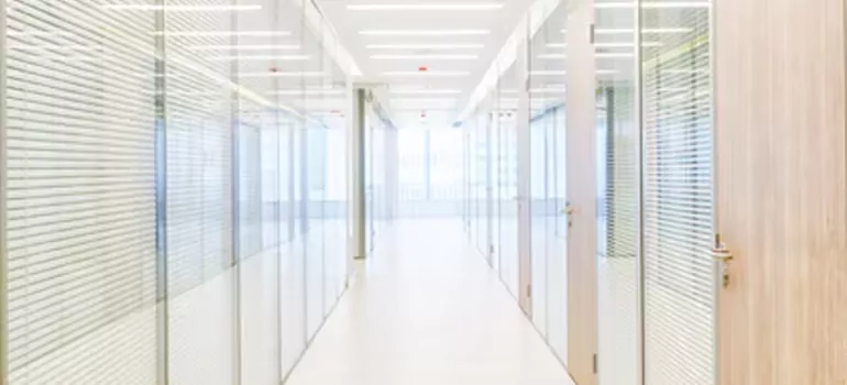 Frosted Glass Windows Replacement in Bellview, FL