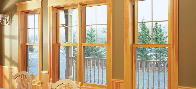 Government Incentives For Replacement Windows in Bellview, FL
