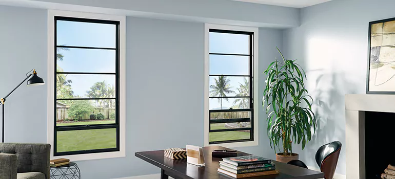 Professional Vinyl Window Installation in Bellview, FL