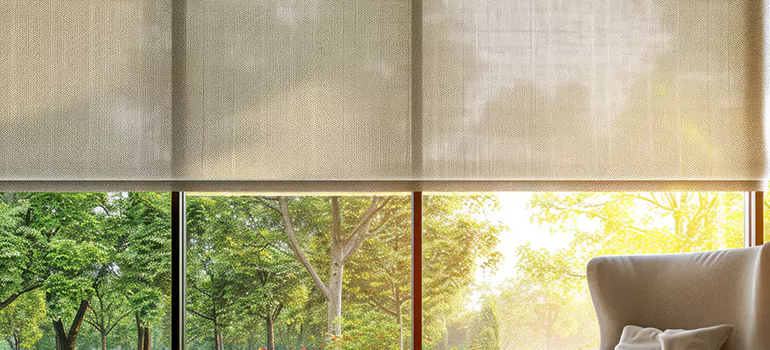 Custom Window Shades in Bellview, FL