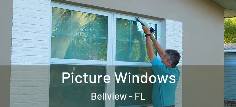  Picture Windows Bellview - FL