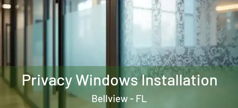  Privacy Windows Installation Bellview - FL