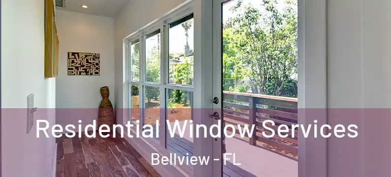 Residential Window Services Bellview - FL