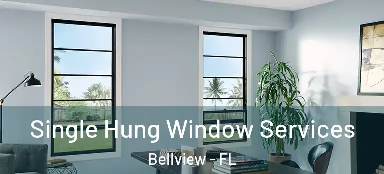  Single Hung Window Services Bellview - FL