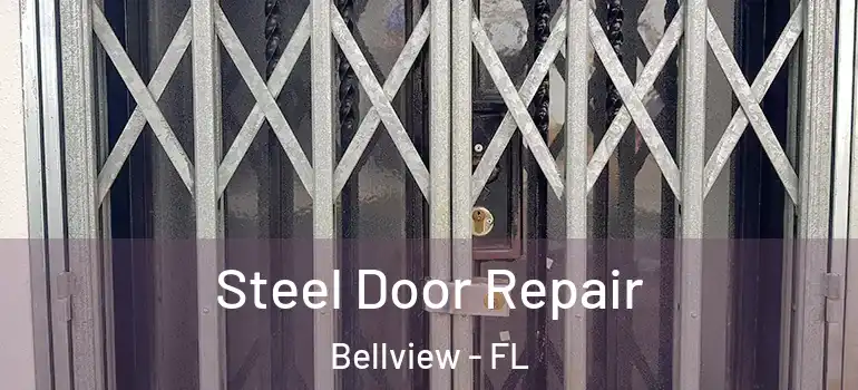  Steel Door Repair Bellview - FL