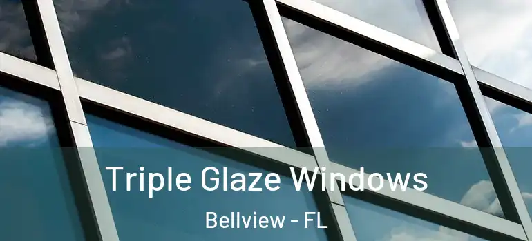  Triple Glaze Windows Bellview - FL