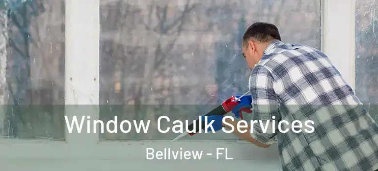  Window Caulk Services Bellview - FL