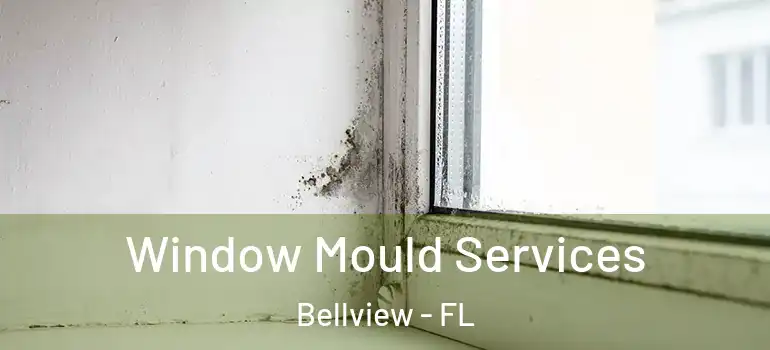  Window Mould Services Bellview - FL