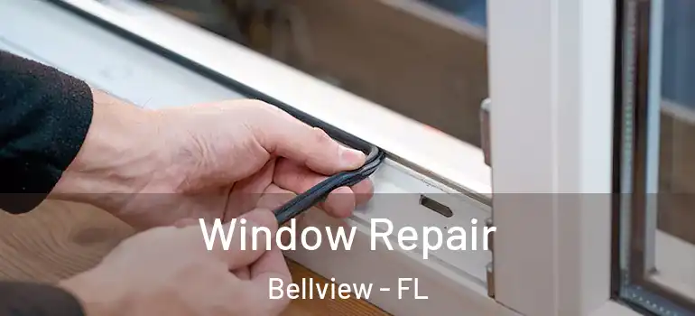  Window Repair Bellview - FL
