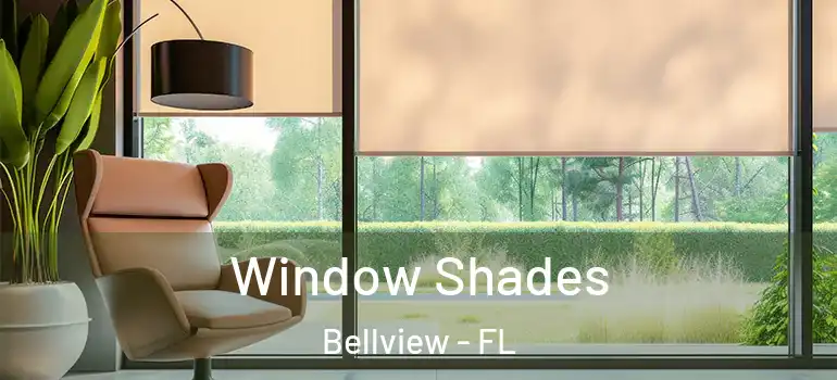  Window Shades Bellview - FL