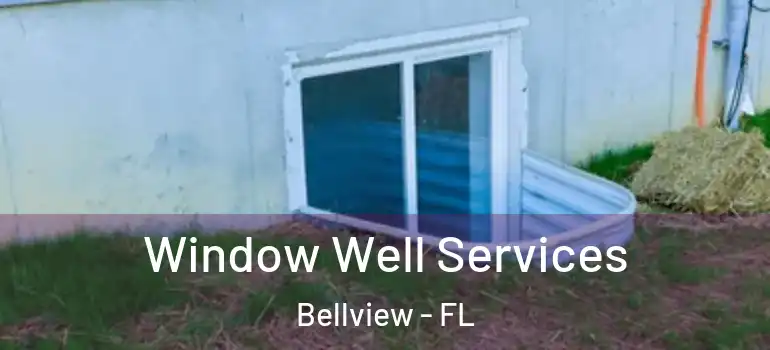  Window Well Services Bellview - FL